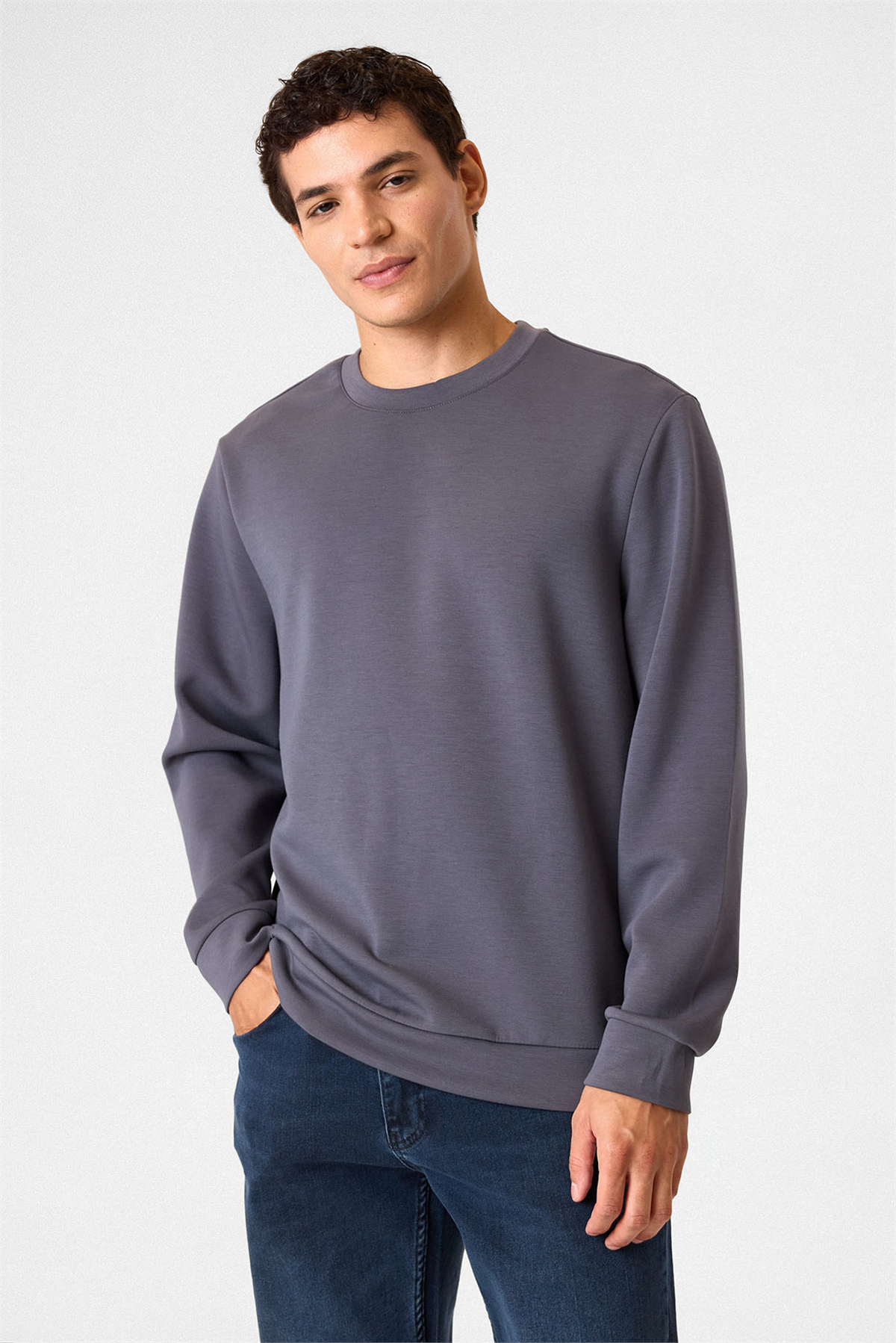 Regular Fit Bisiklet Yaka Gri Sweatshirt