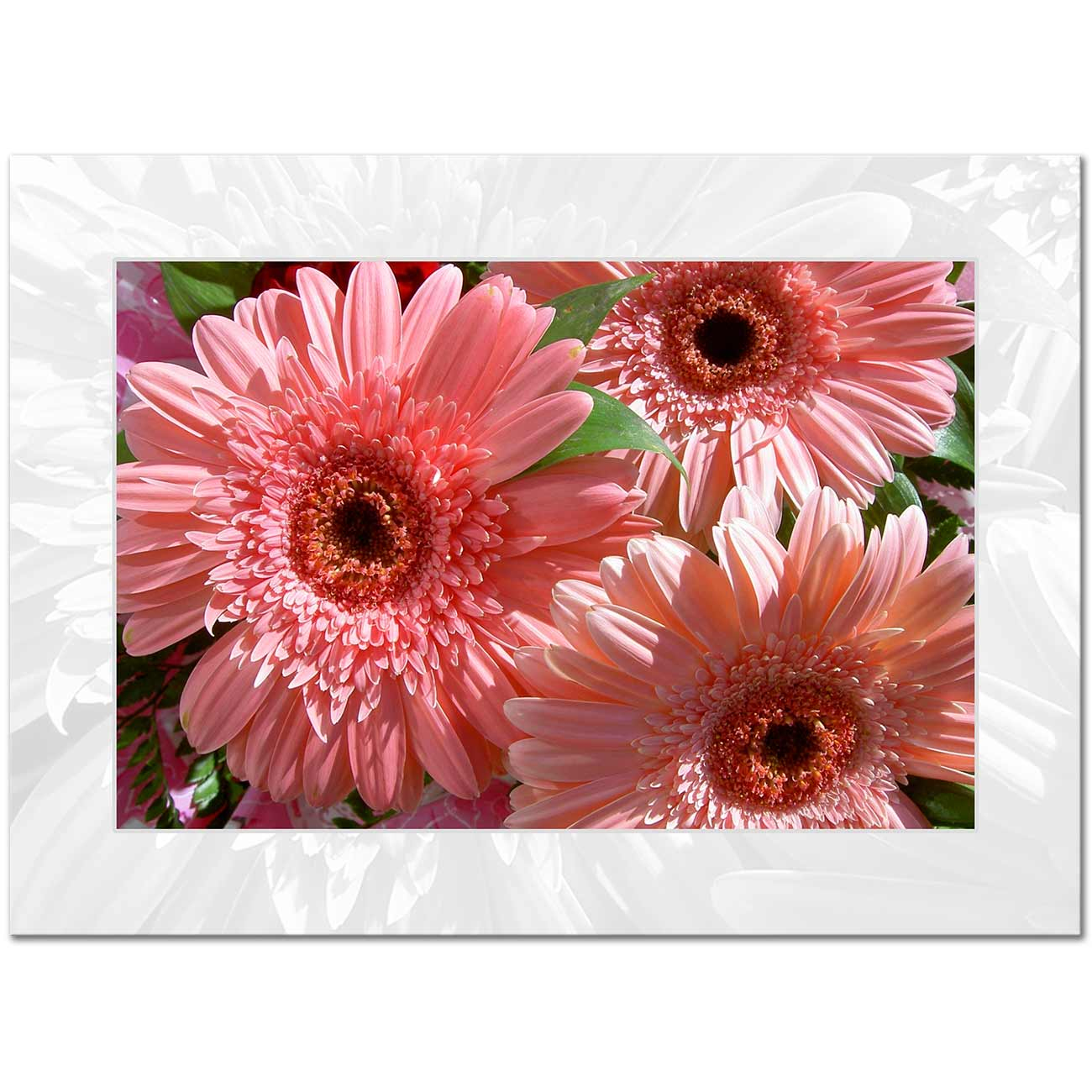 Gerbera Demeti Kanvas Tablo