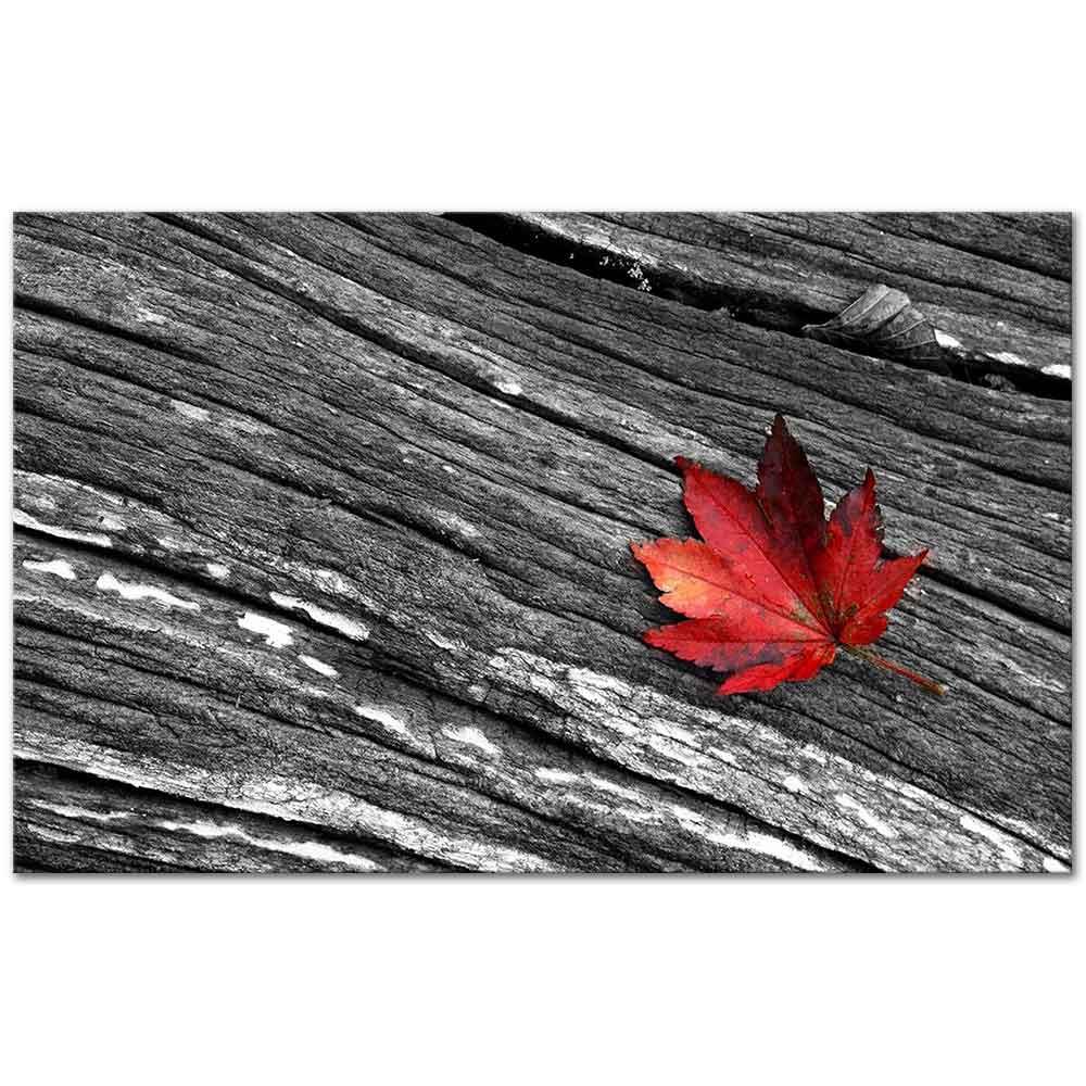 Sonbahar Yaprağı Kanvas Tablo