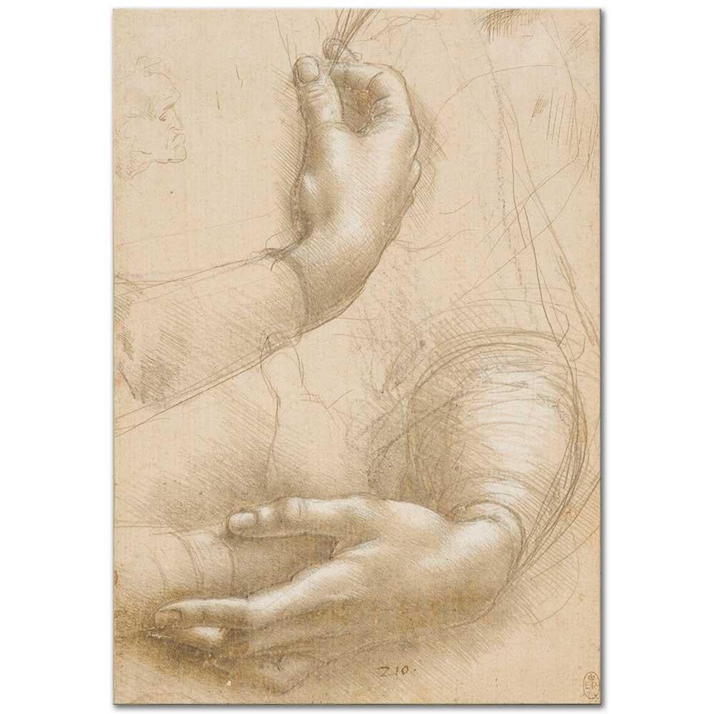 A Study of a Woman's Hand by Leonardo Da Vinci