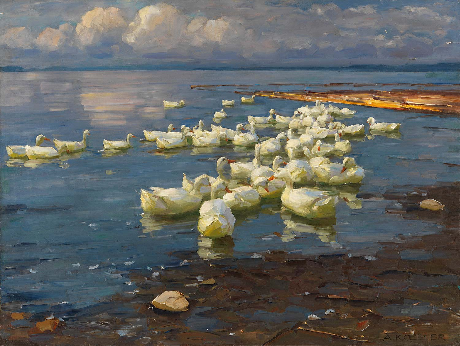 Alexander Koester Ducks In The Lake Art Print
