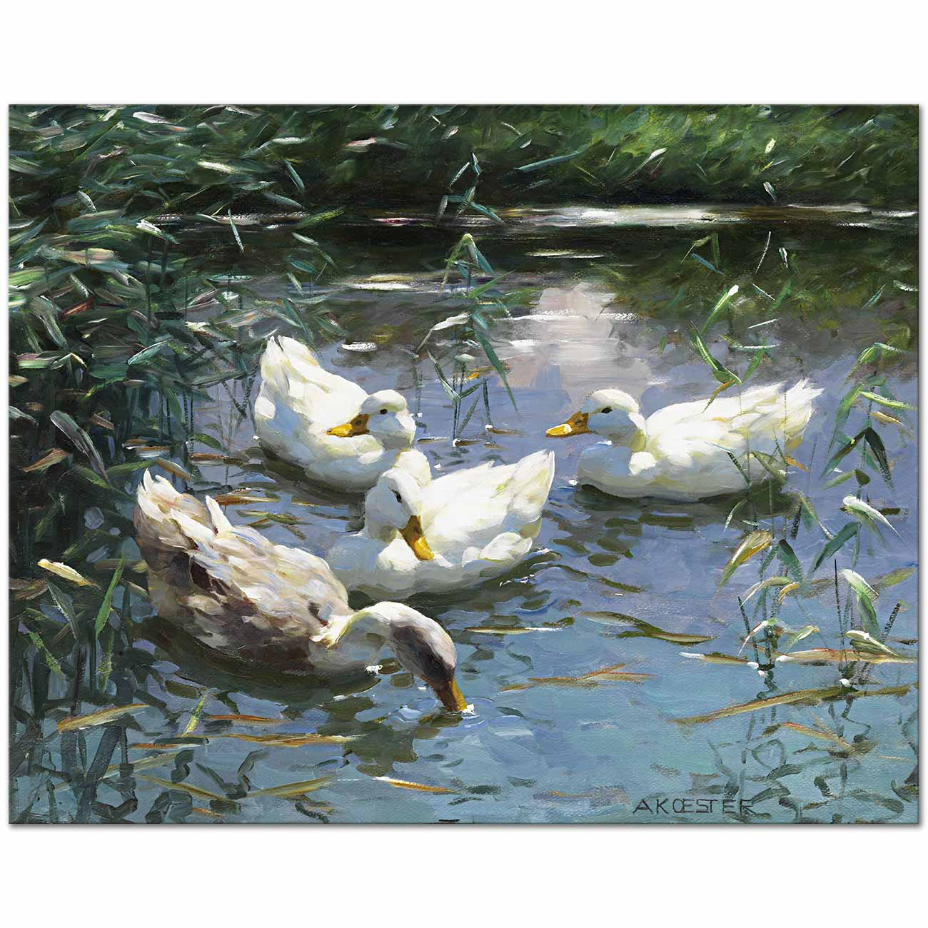 Alexander Koester gölette dört ördek