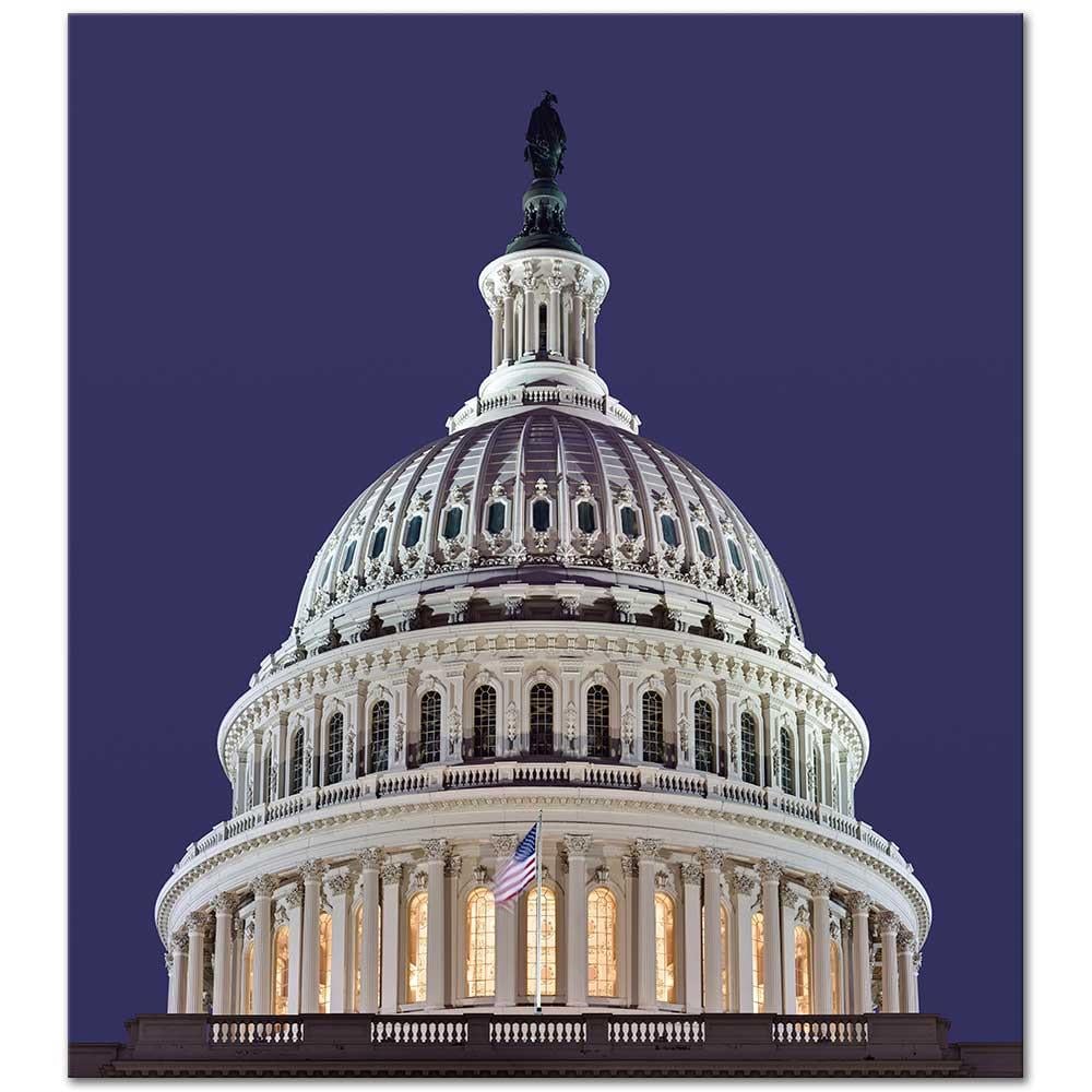 Amerikan Kongre Binası Kanvas Tablo