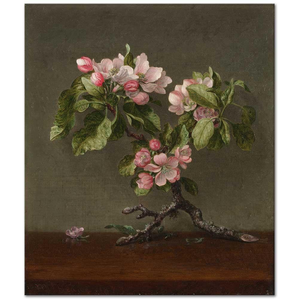 Martin Johnson Heade Dalında Elma Çiçekleri Kanvas Tablo