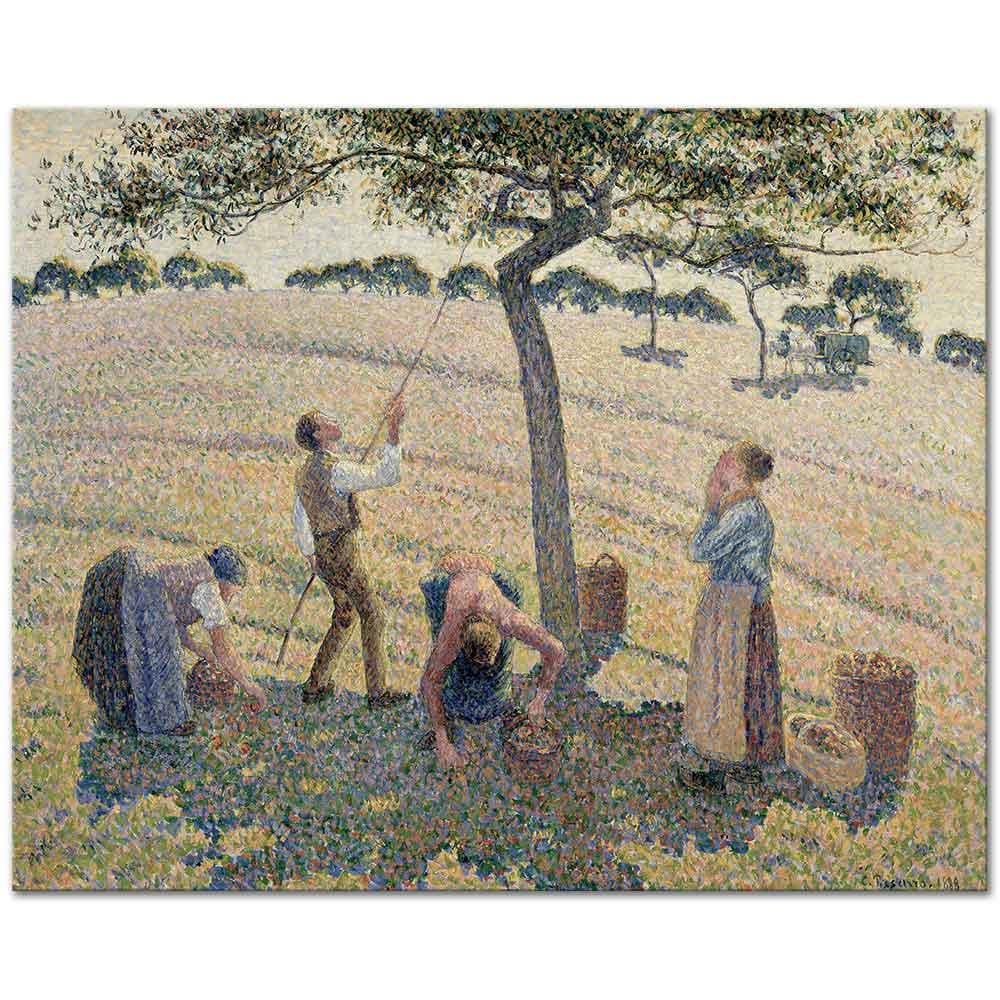 Apple Harvest by Camille Pissarro as Art Print
