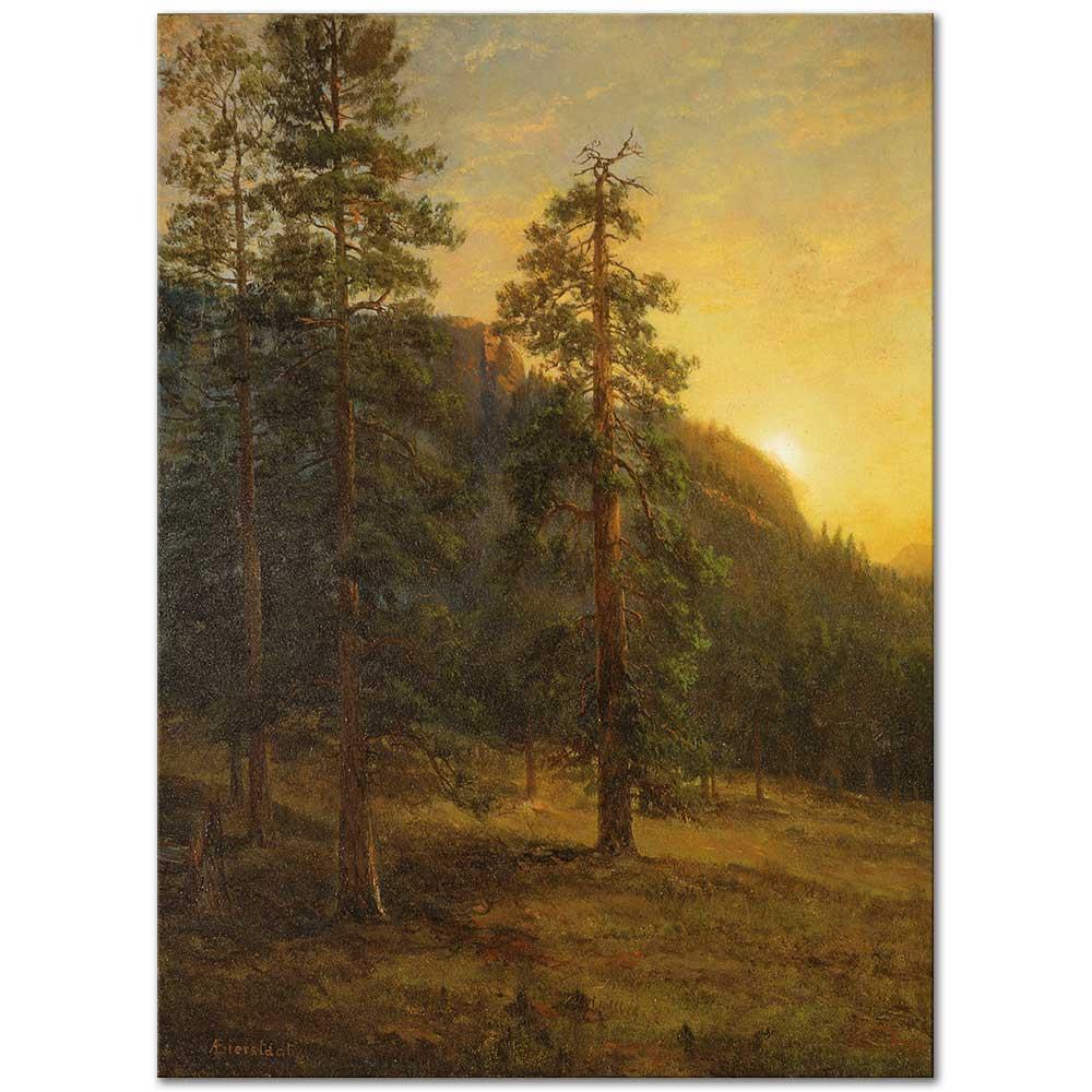 Albert Bierstadt Kaliforniya Sekoyaları Kanvas Tablo