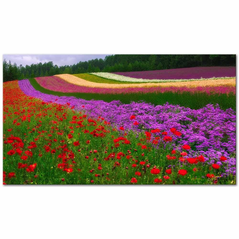 Colorful Dreams as Art Print