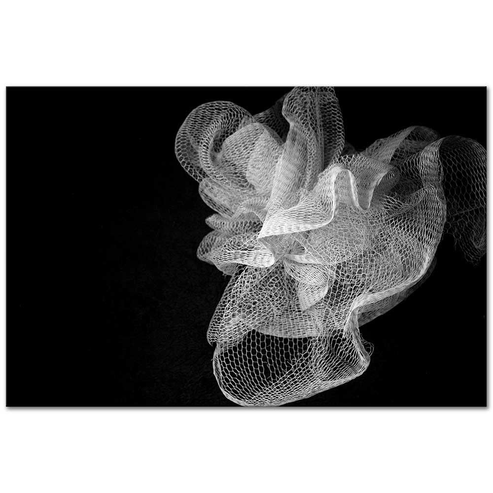 Composition by Imogen Cunnigham as Art Print