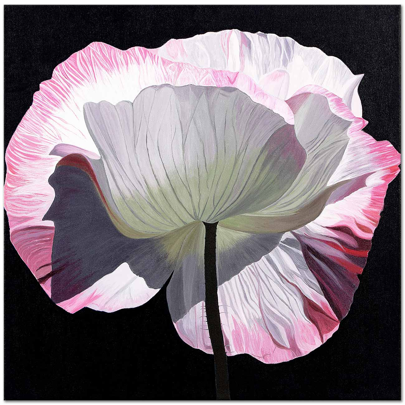 Dagmar Göğdün Pembe Gelincik Kanvas Tablo