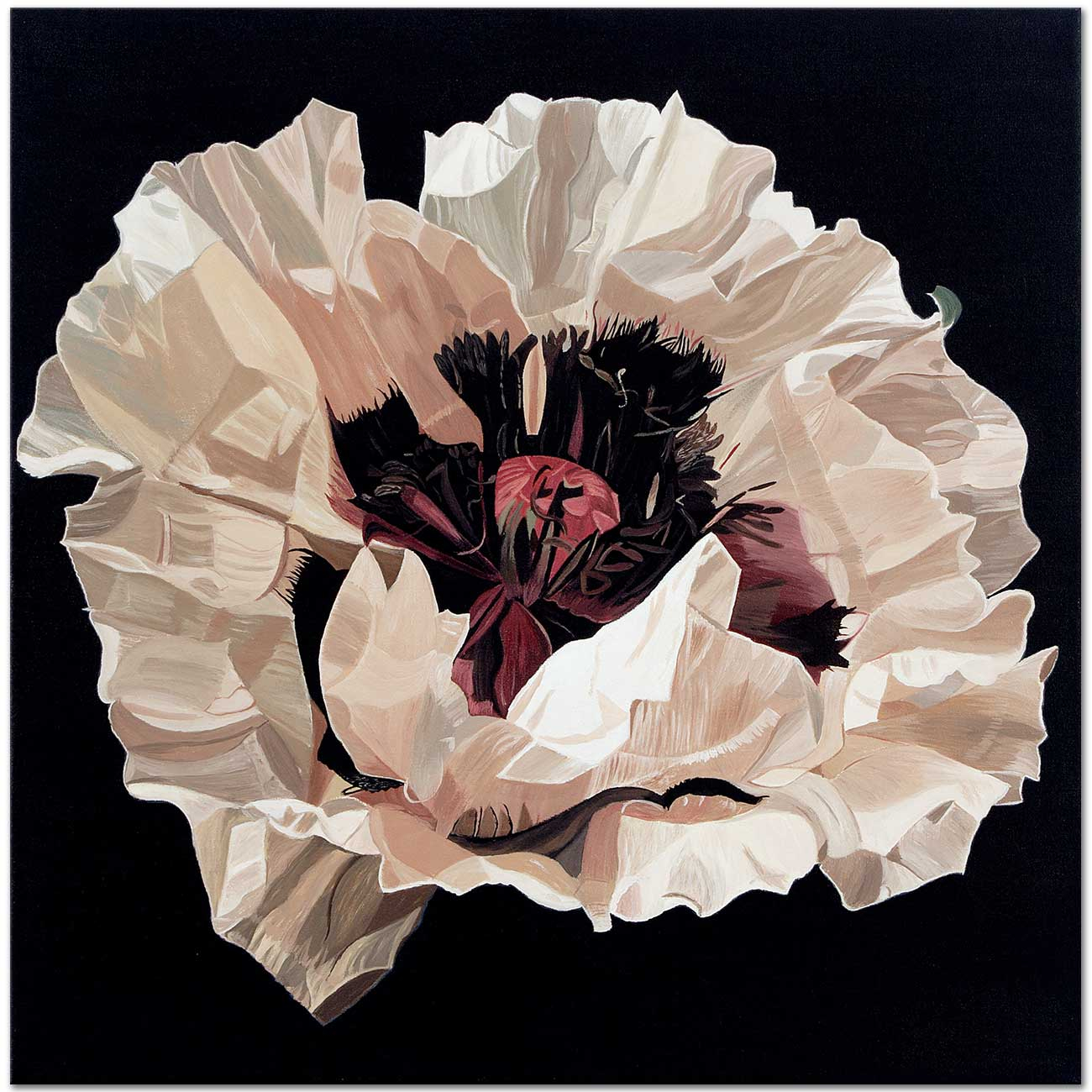 Dagmar Gogdun White Poppy Art Print