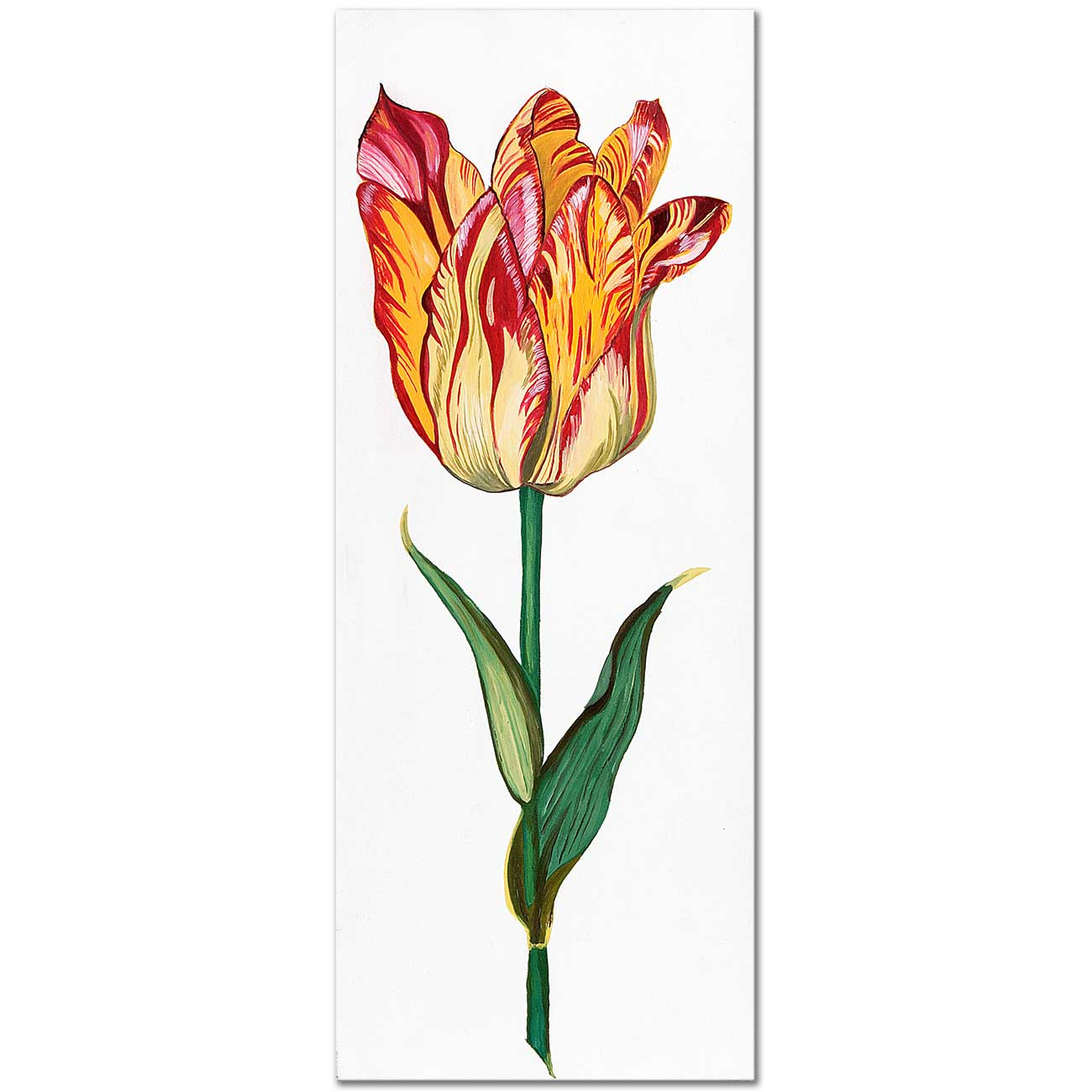 Dagmar Göğdün Sarılı Lale Kanvas Tablo