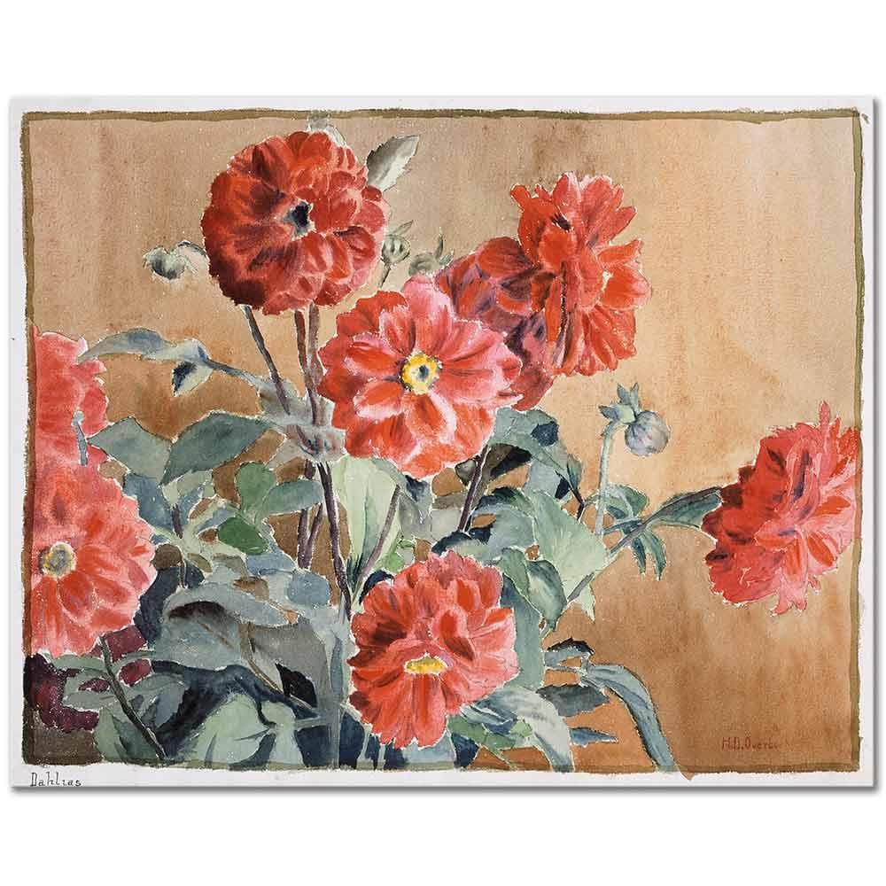Dahlias by Hannah Borger Overbeck as Art Print