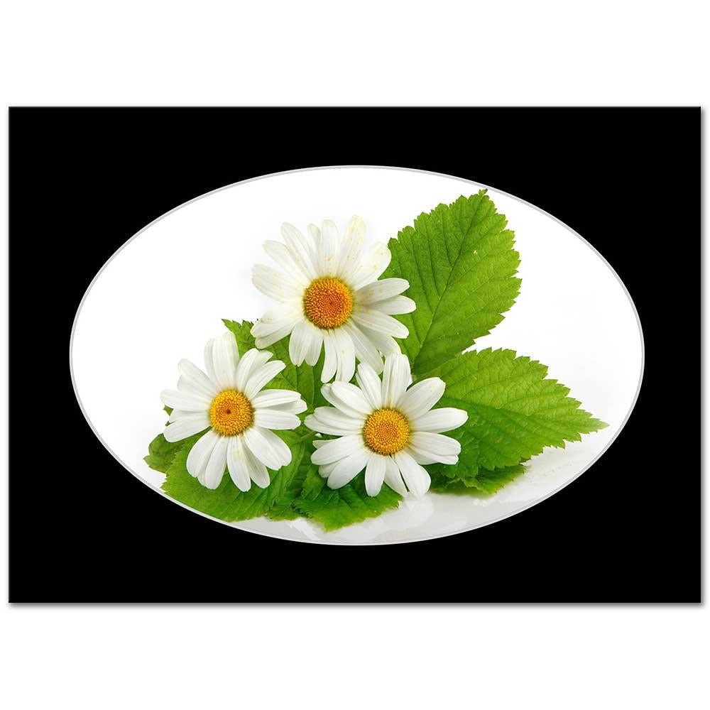 Daisy Bundle as Art Print