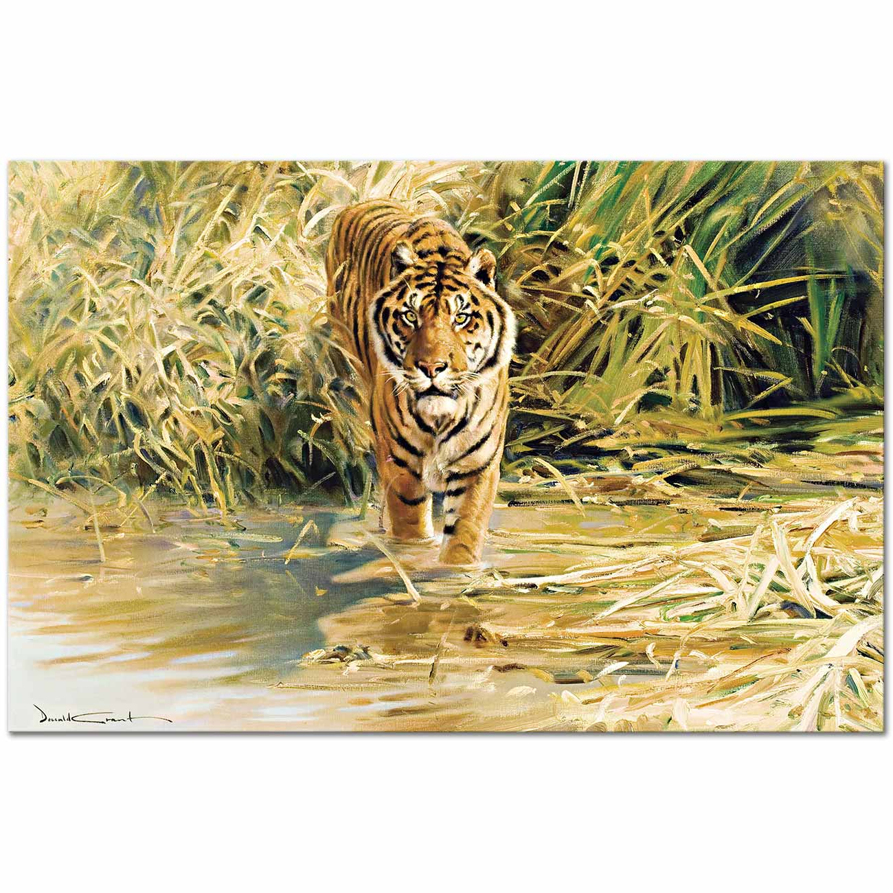 Tiger by Donald Grant