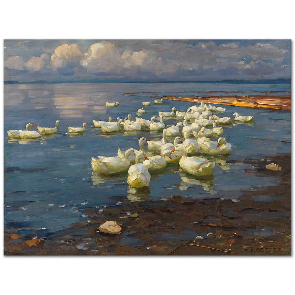 Ducks In The Lake by Alexander Koester as Fine Art Print