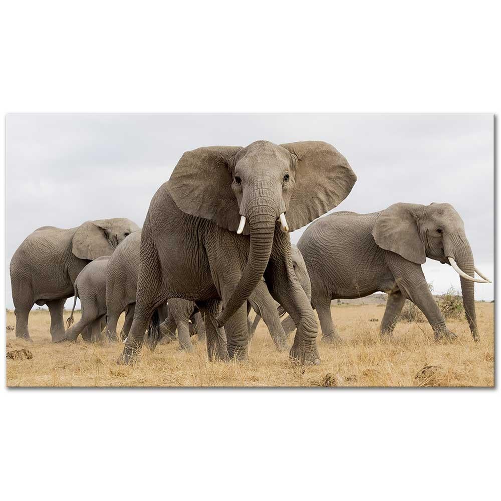 Elephants On African Safari as Art Print