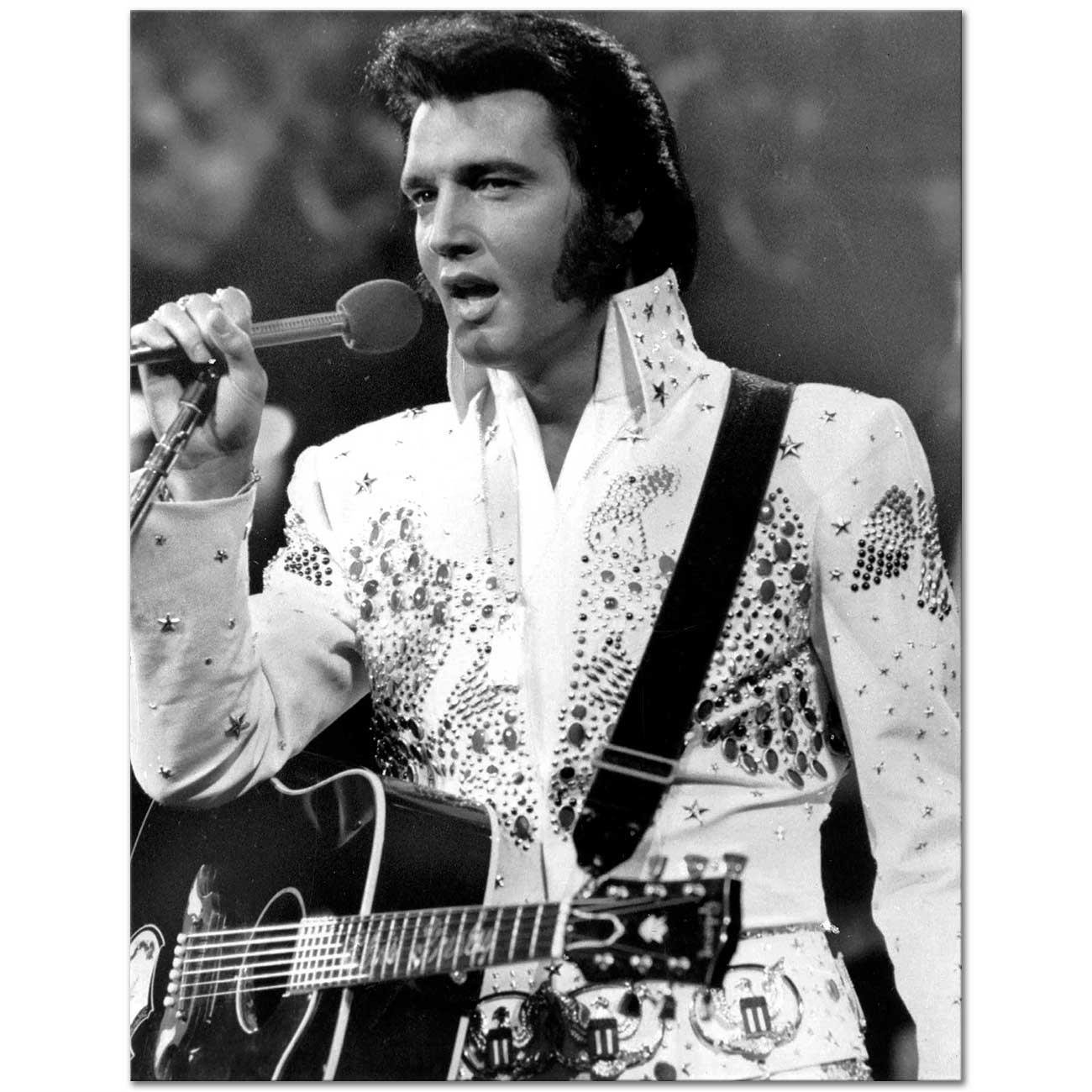 Elvis Presley in Concert Art Print