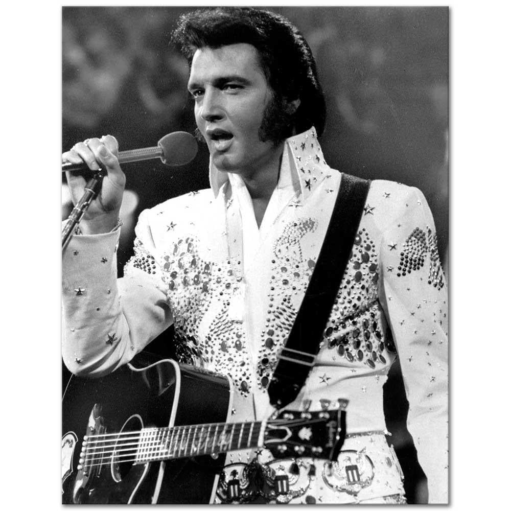 Elvis Presley in Concert