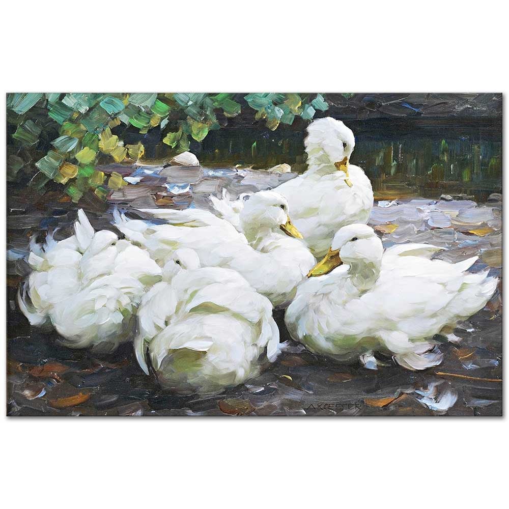 Five Resting White Ducks by Alexander Koester as Fine Art Print