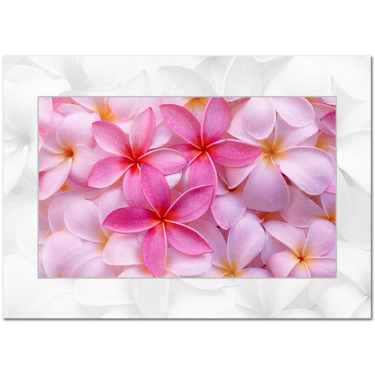Frangipani Kanvas Tablo