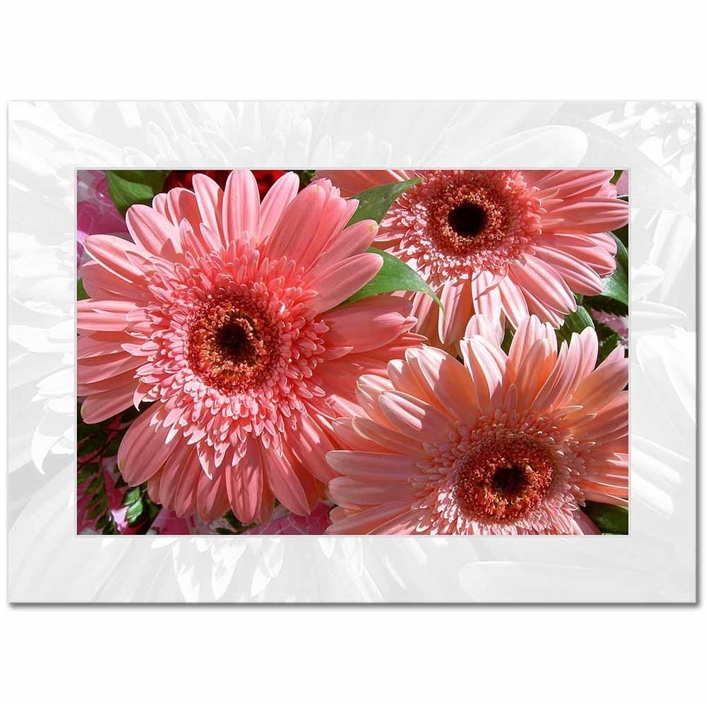 Gerbera Demeti Kanvas Tablo