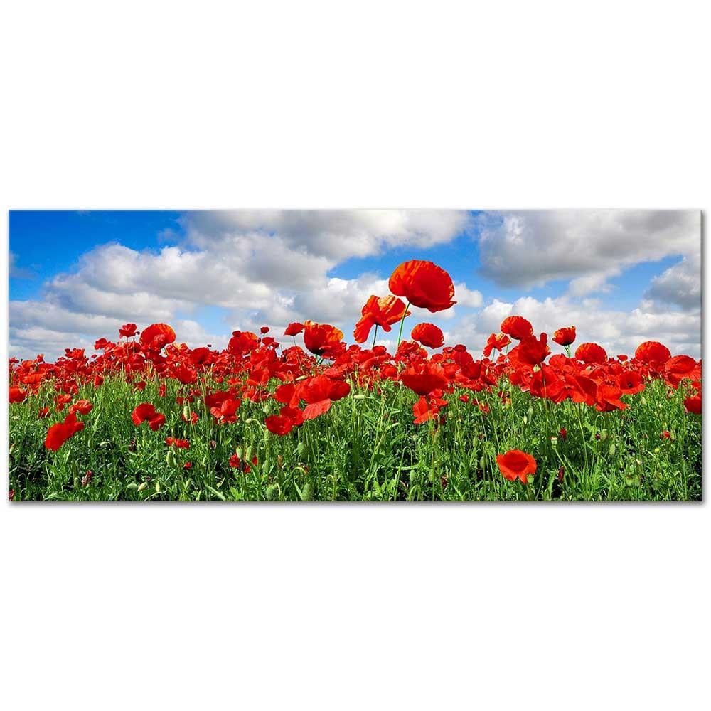 In Poppy Field Art Print