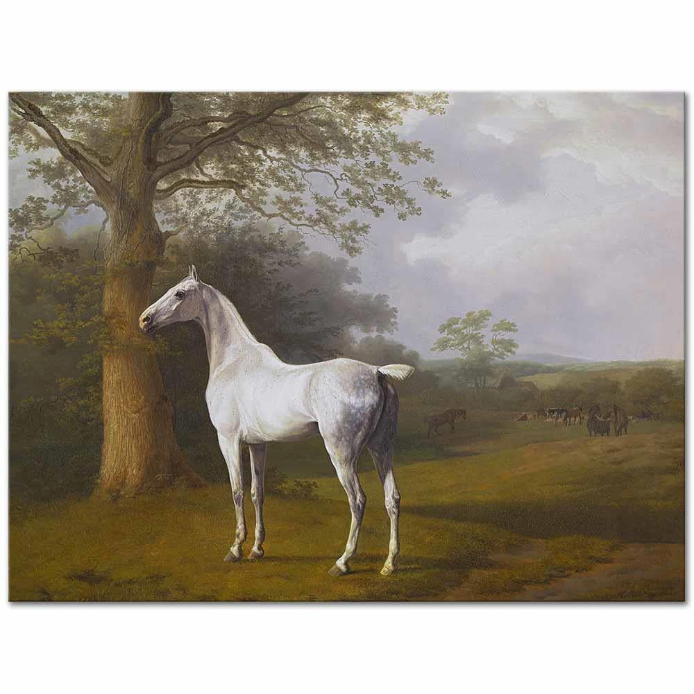 White Horse in Pasture by Jacques Laurent Agasse