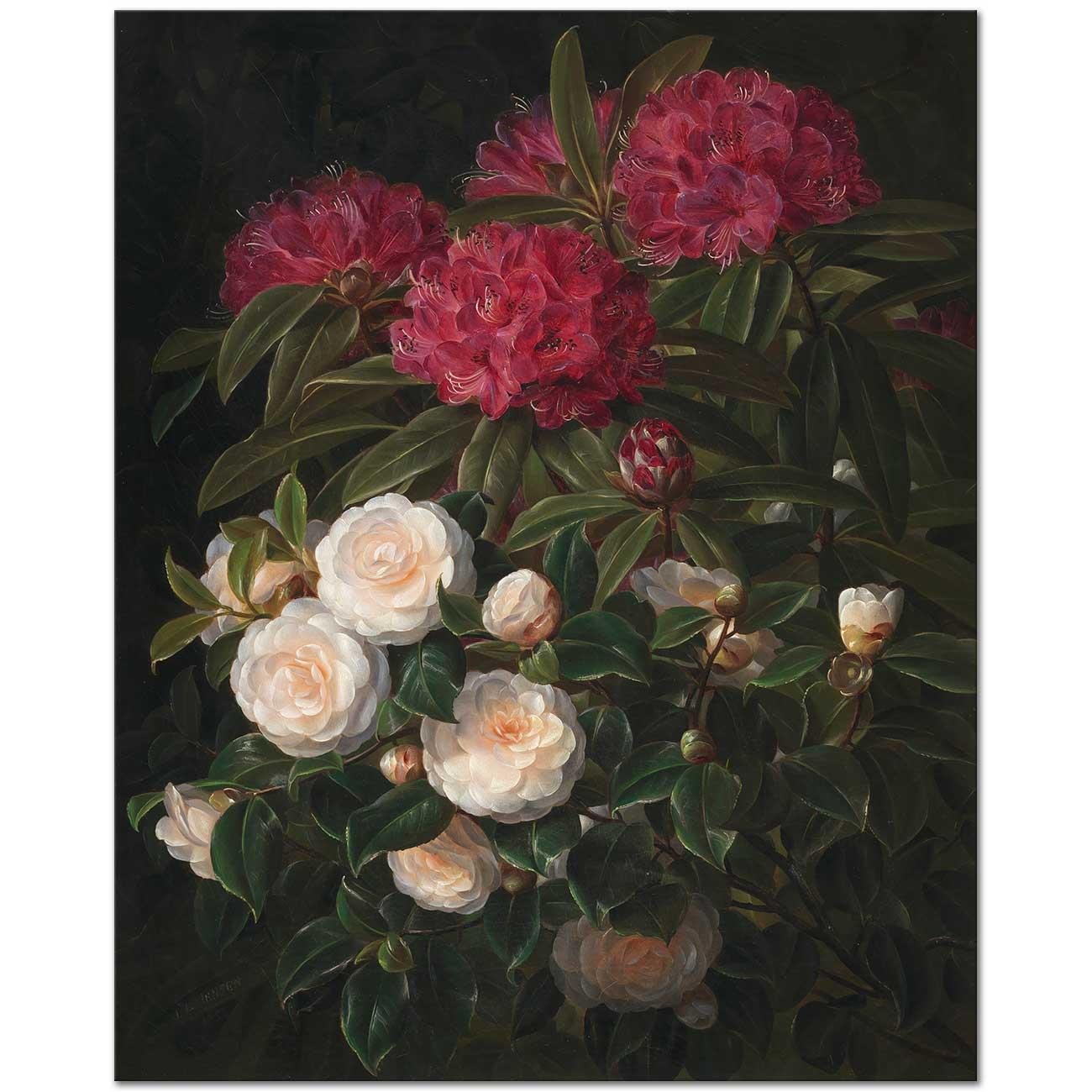 Kamelier Og Rhododendron by Johan Laurentz Jensen