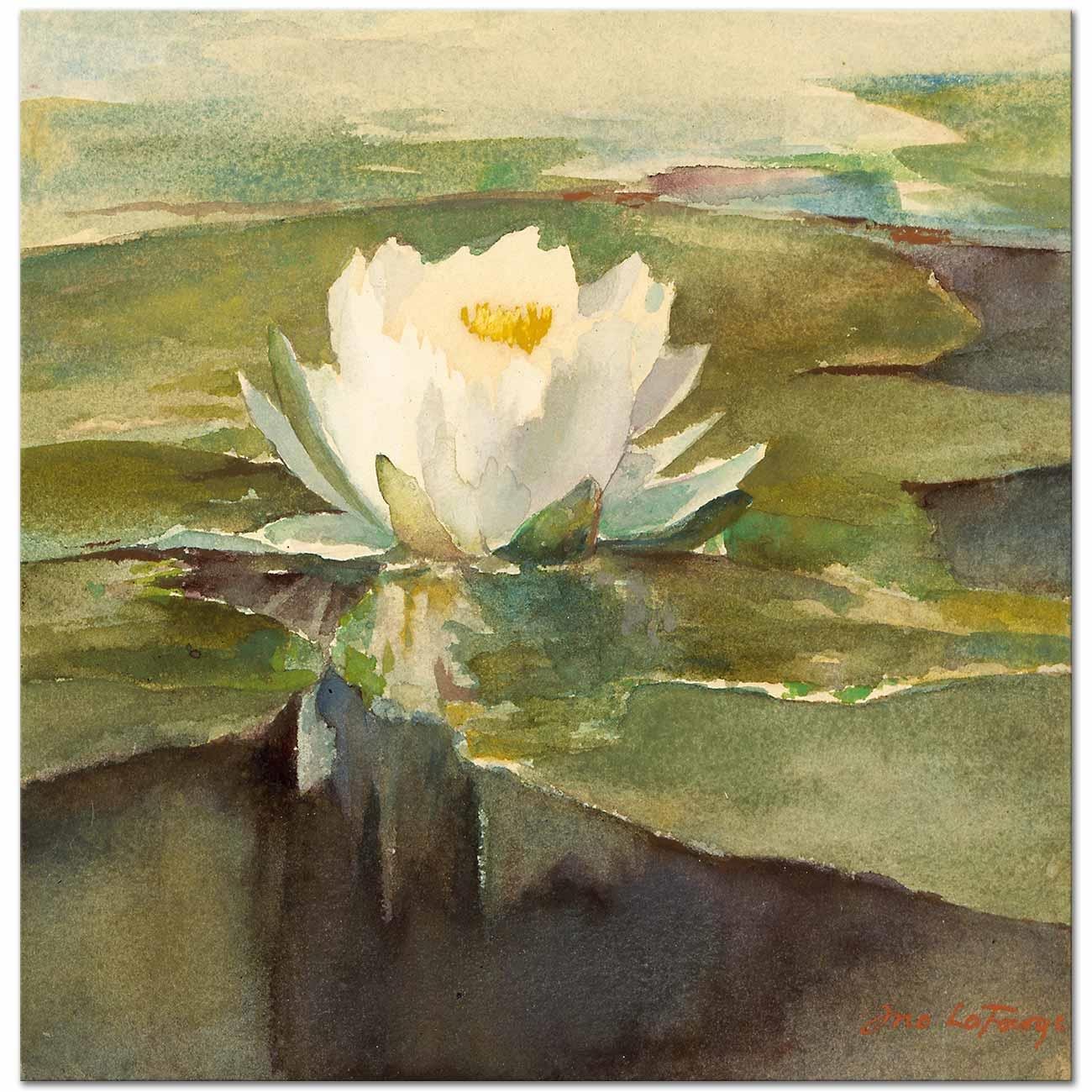 Water Lily On Sunlight by John La Farge