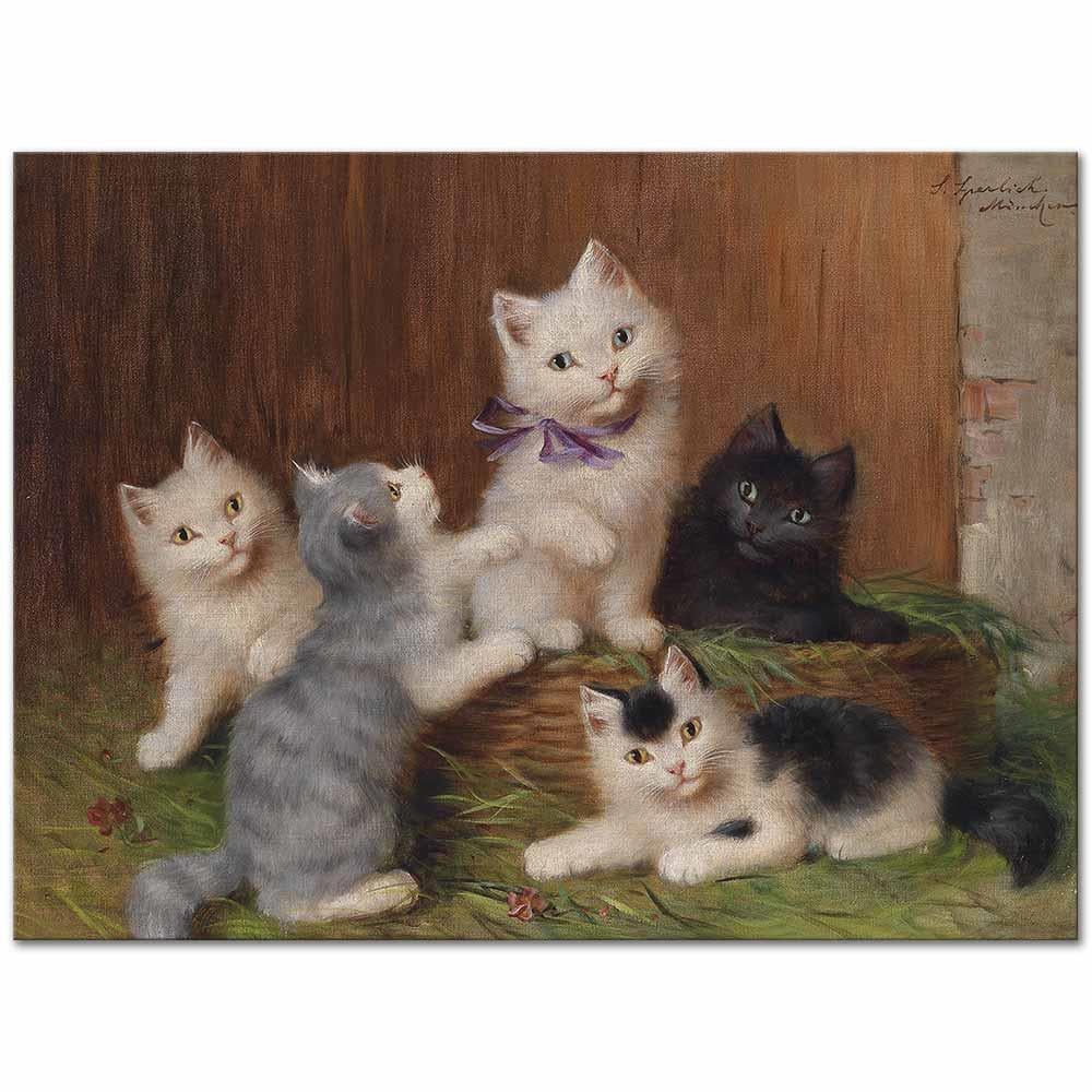 Sophie Sperlich Kedi Yavruları Kanvas Tablo
