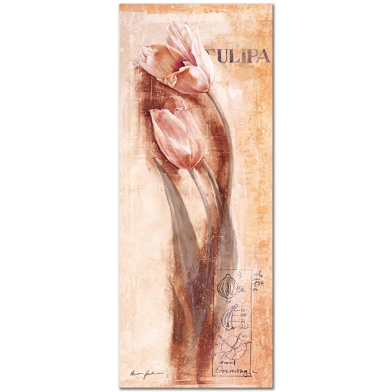 Tulip Drawing Art Print