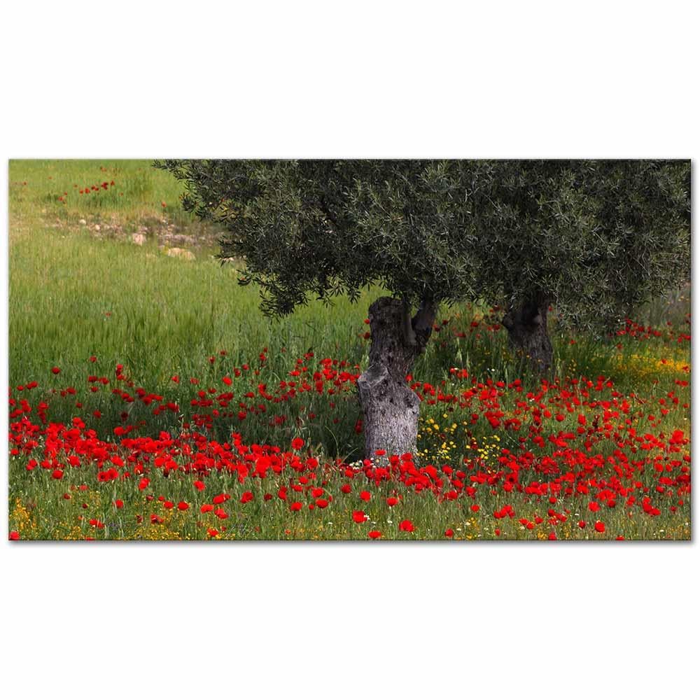 Landscape With Poppies as Art Print