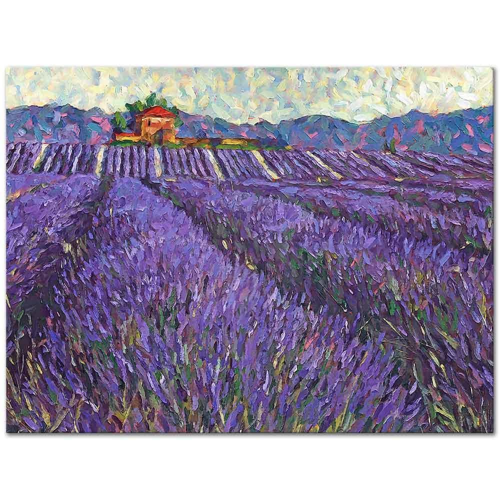 Lavender Field 01 as Art Print