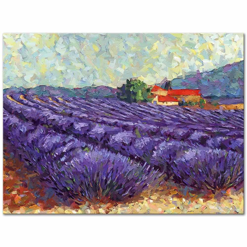 Lavender Field 02 as Art Print