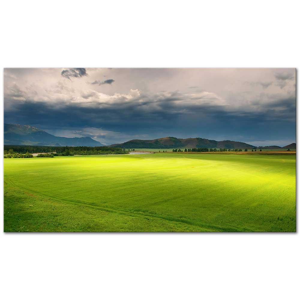 Light on the Meadow as Art Print