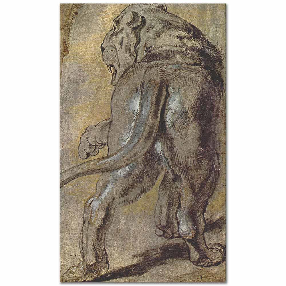 Lioness by Peter Paul Rubens