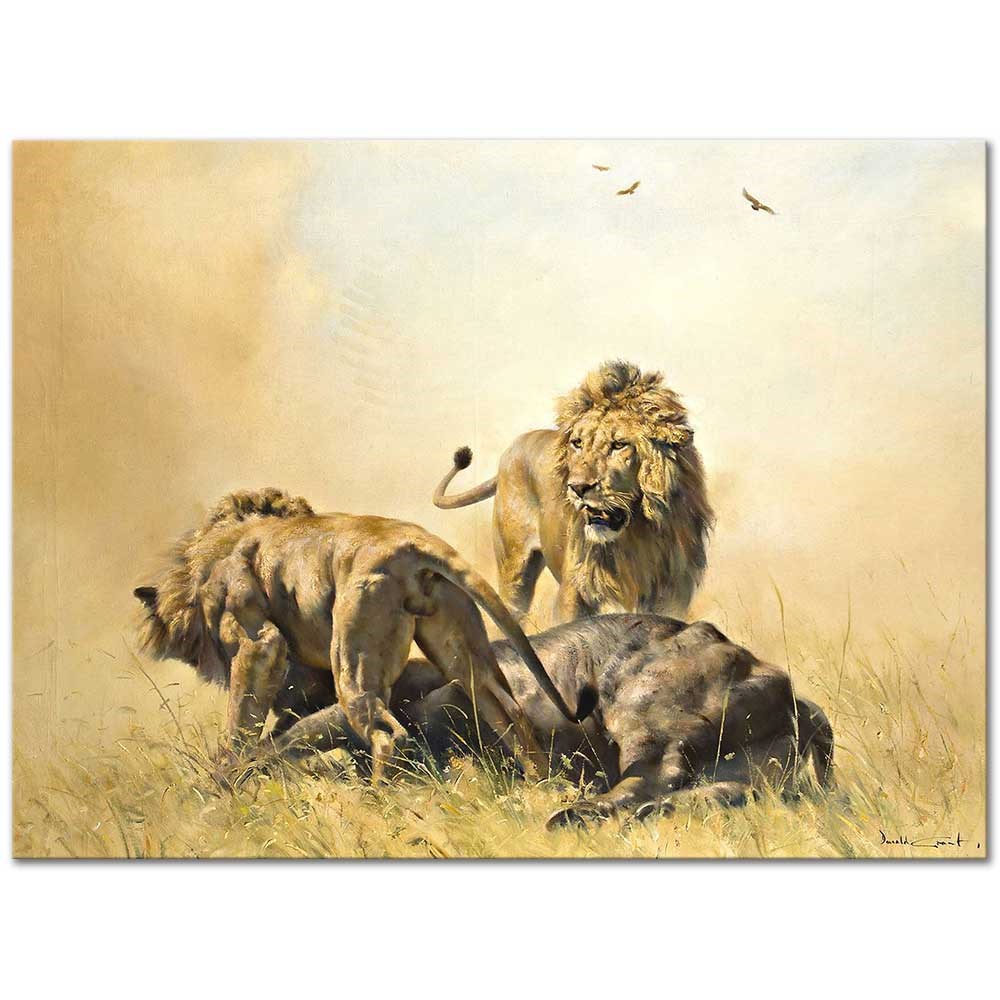 Lions in a Landscape by Donald Grant as Fine Art Print