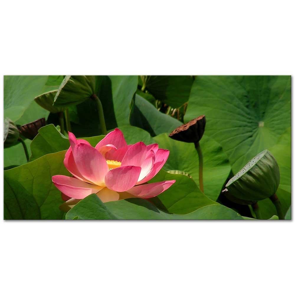 Yapraklar Arasında Nilüfer Kanvas Tablo