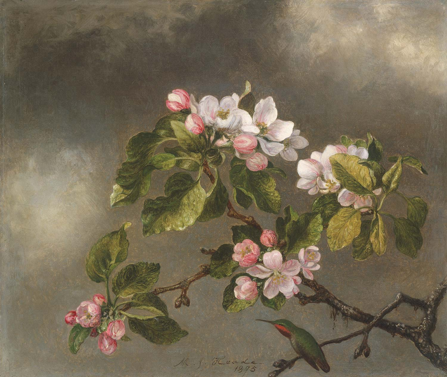 Martin Johnson Heade Elma Çiçekleri Kanvas Tablo