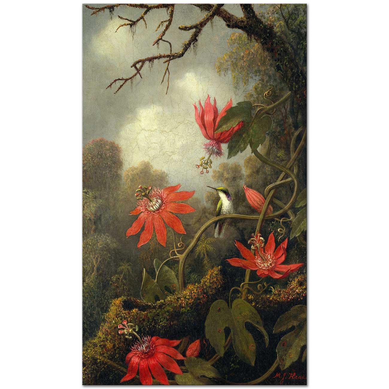 Martin Johnson Heade Çarkıfelek ve Kalibri Kanvas Tablo