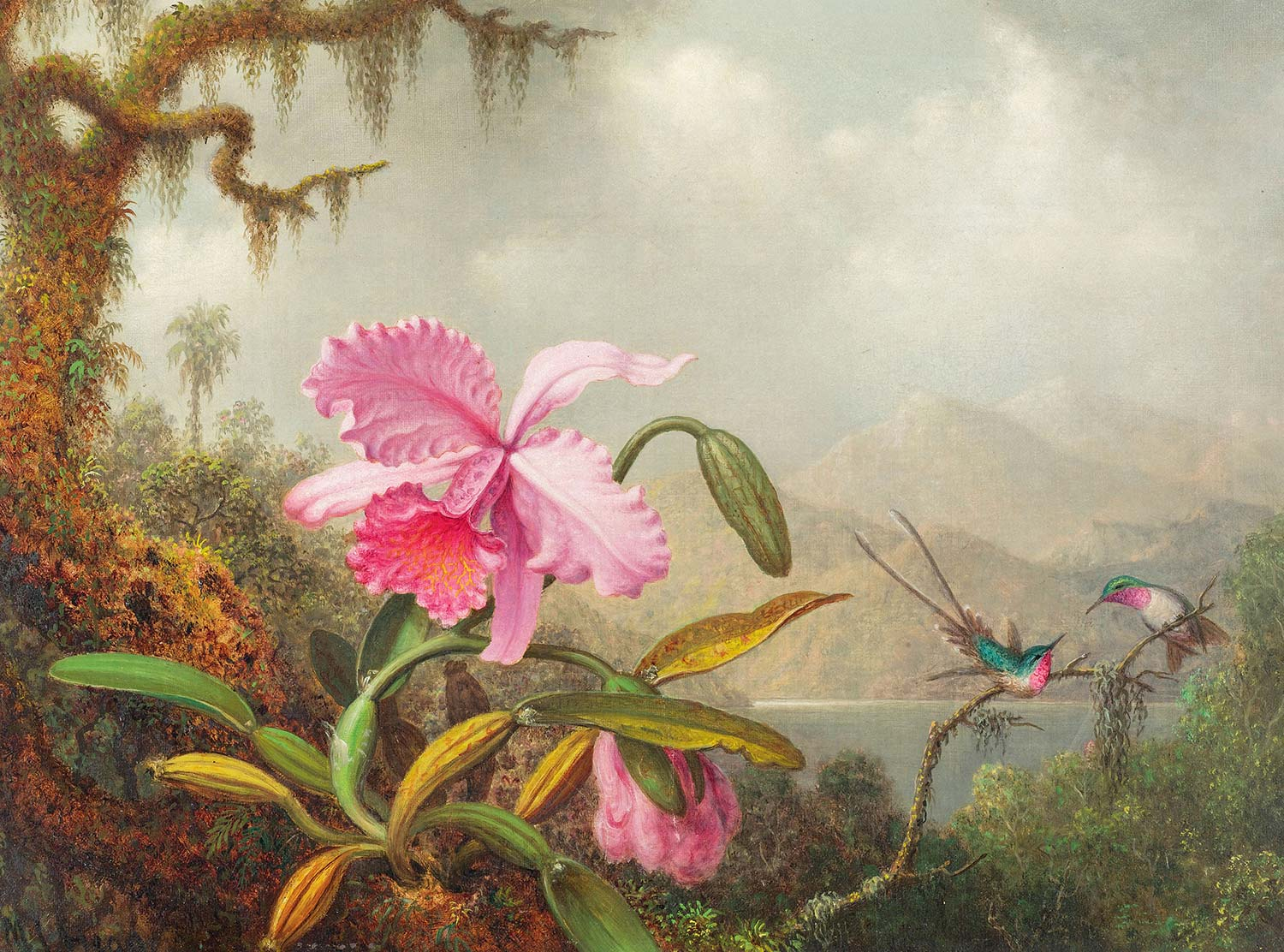 Martin Johnson Heade Orkide ve Kalibri Kanvas Tablo