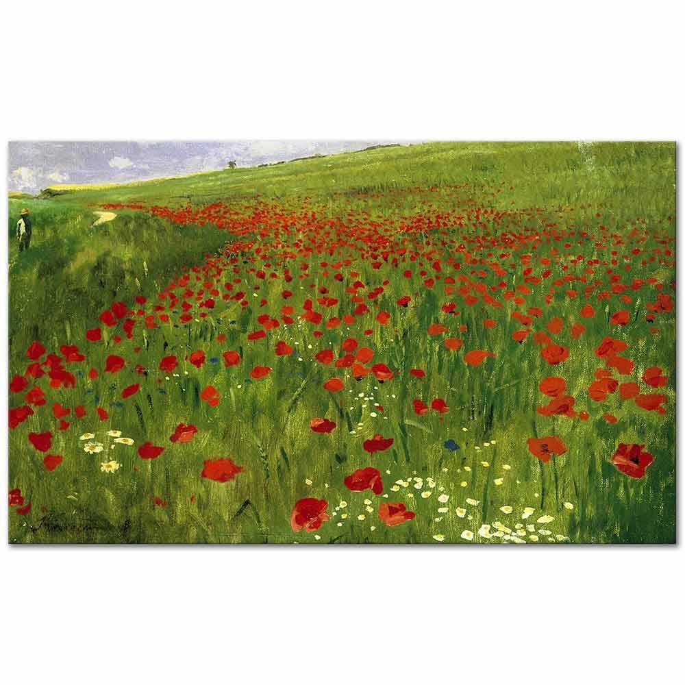 Meadow with Poppies by Pal Szinyei Merse as Art Print