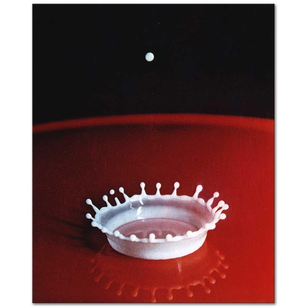 Milk Dop Coronet by Harold Eugene Edgerton