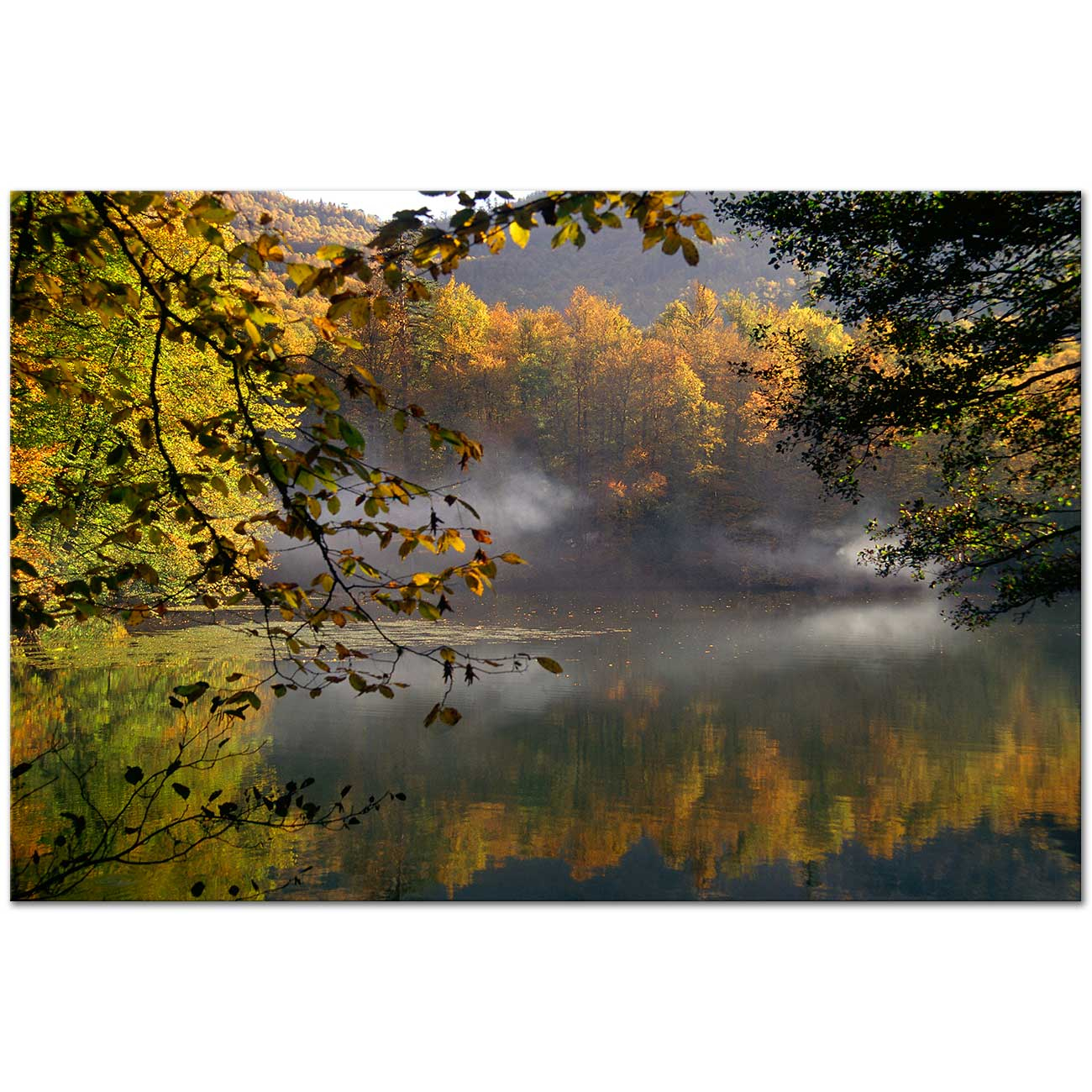 Mustafa Yılmaz Lake Landscape Bolu Art Print