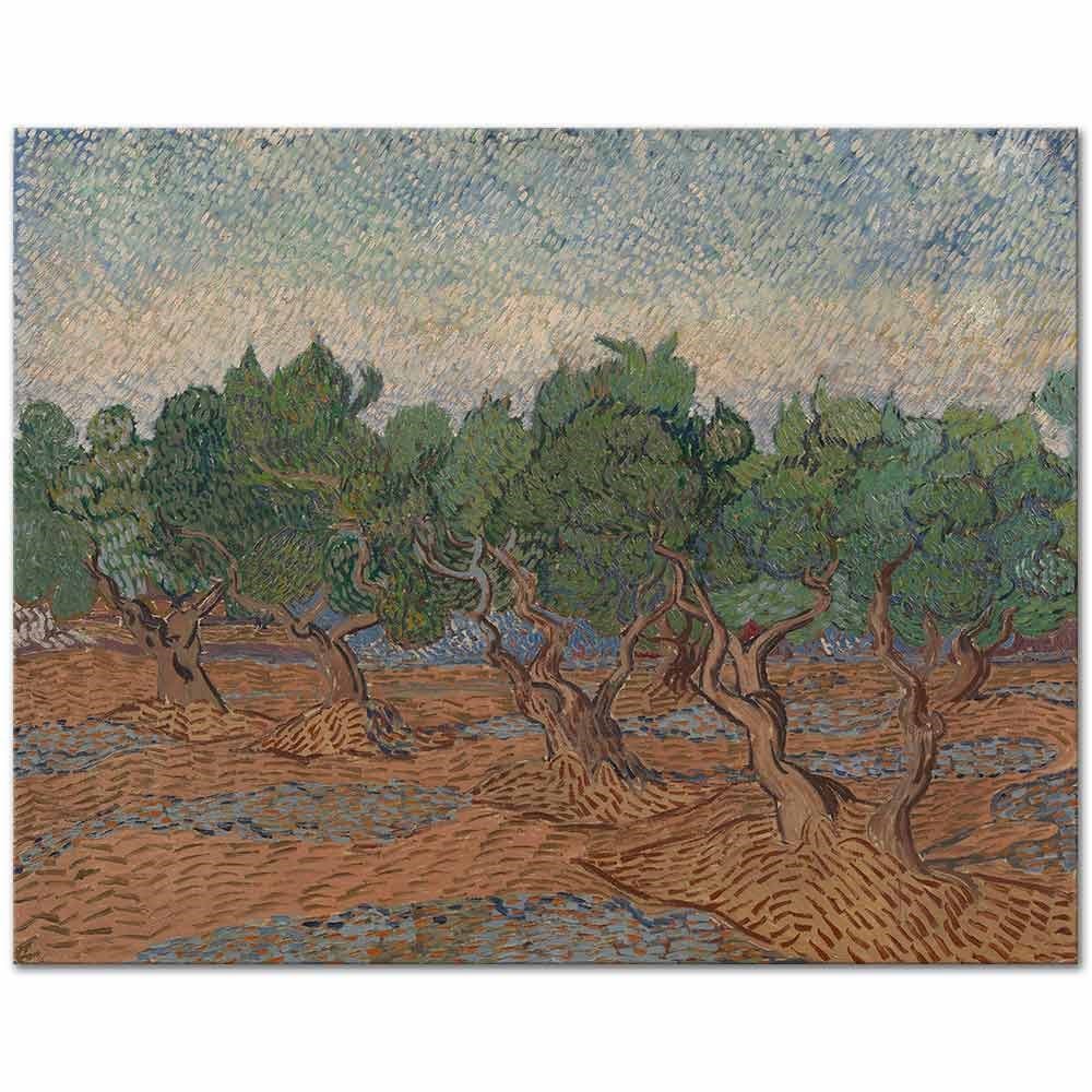 Vincent van Gogh Zeytinlikte Ağaçlar Kanvas Tablo