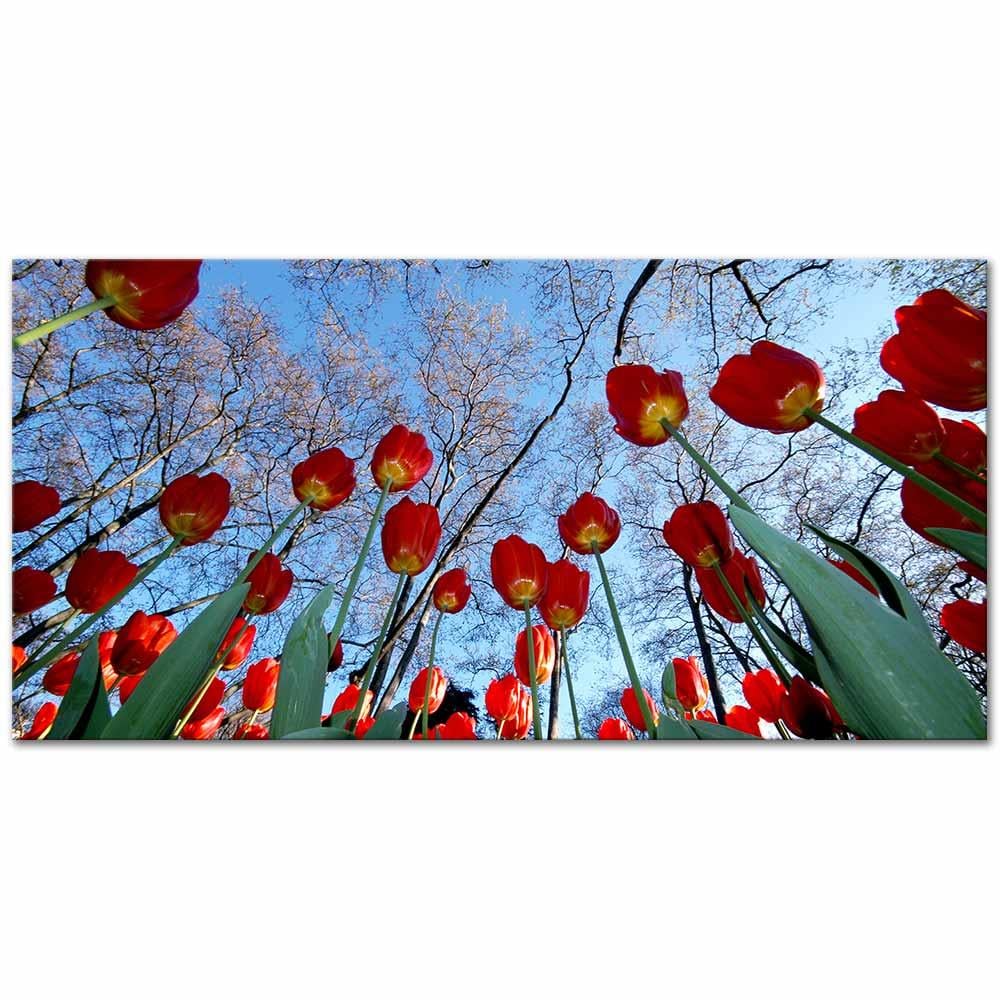 Osman Karamehmetoglu Tulip Garden Art Print