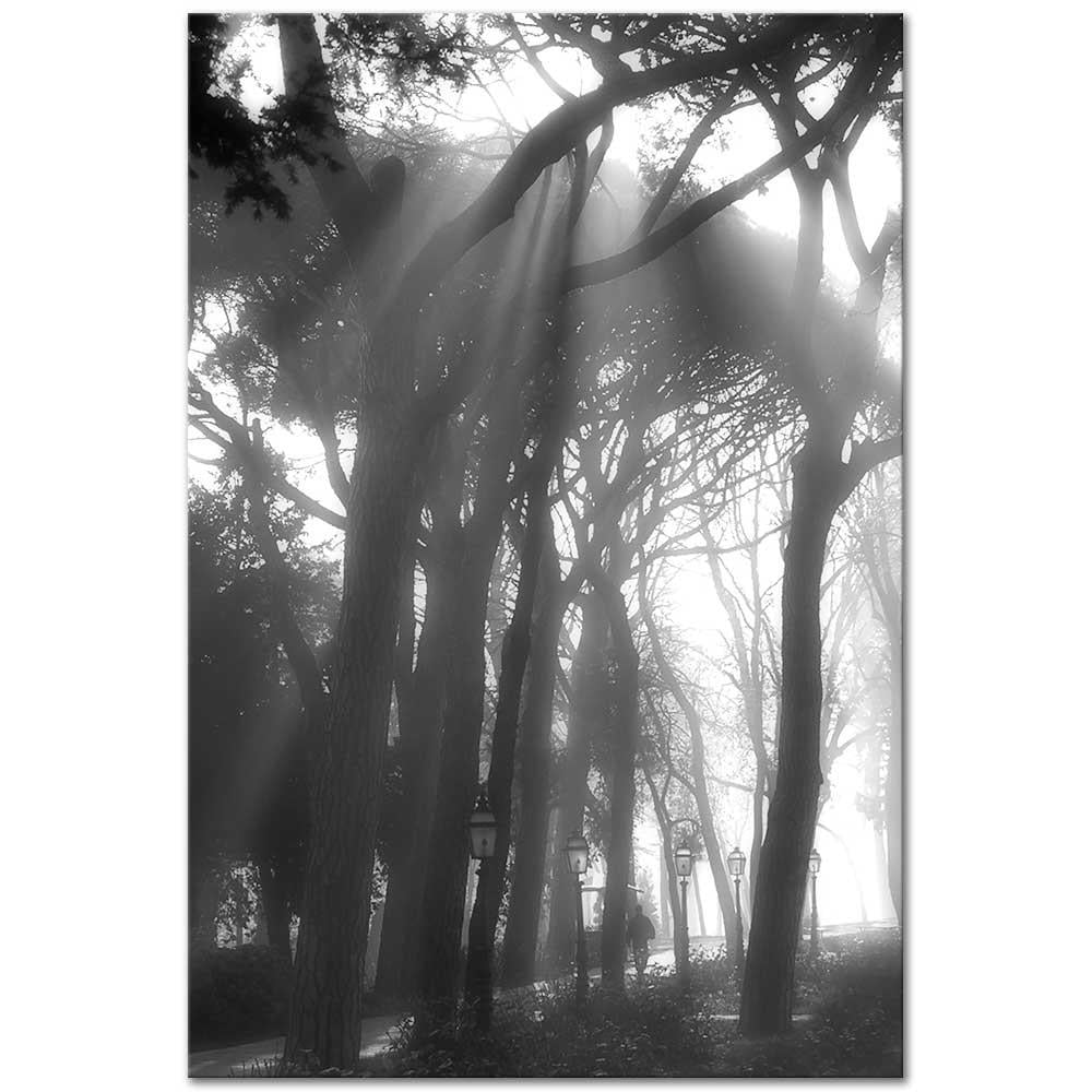 Osman Karamehmetoglu Floating Lights Art Print