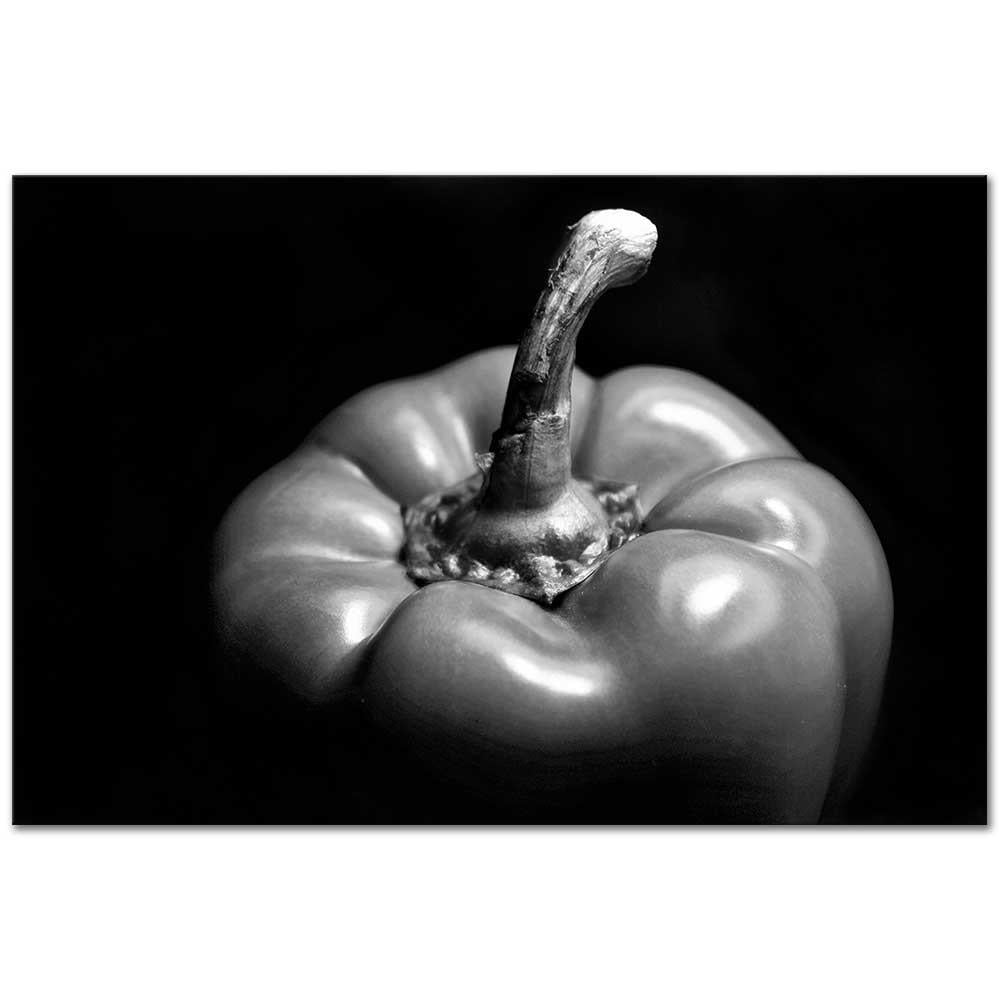 Edward Weston Biber no 24 Kanvas Tablo