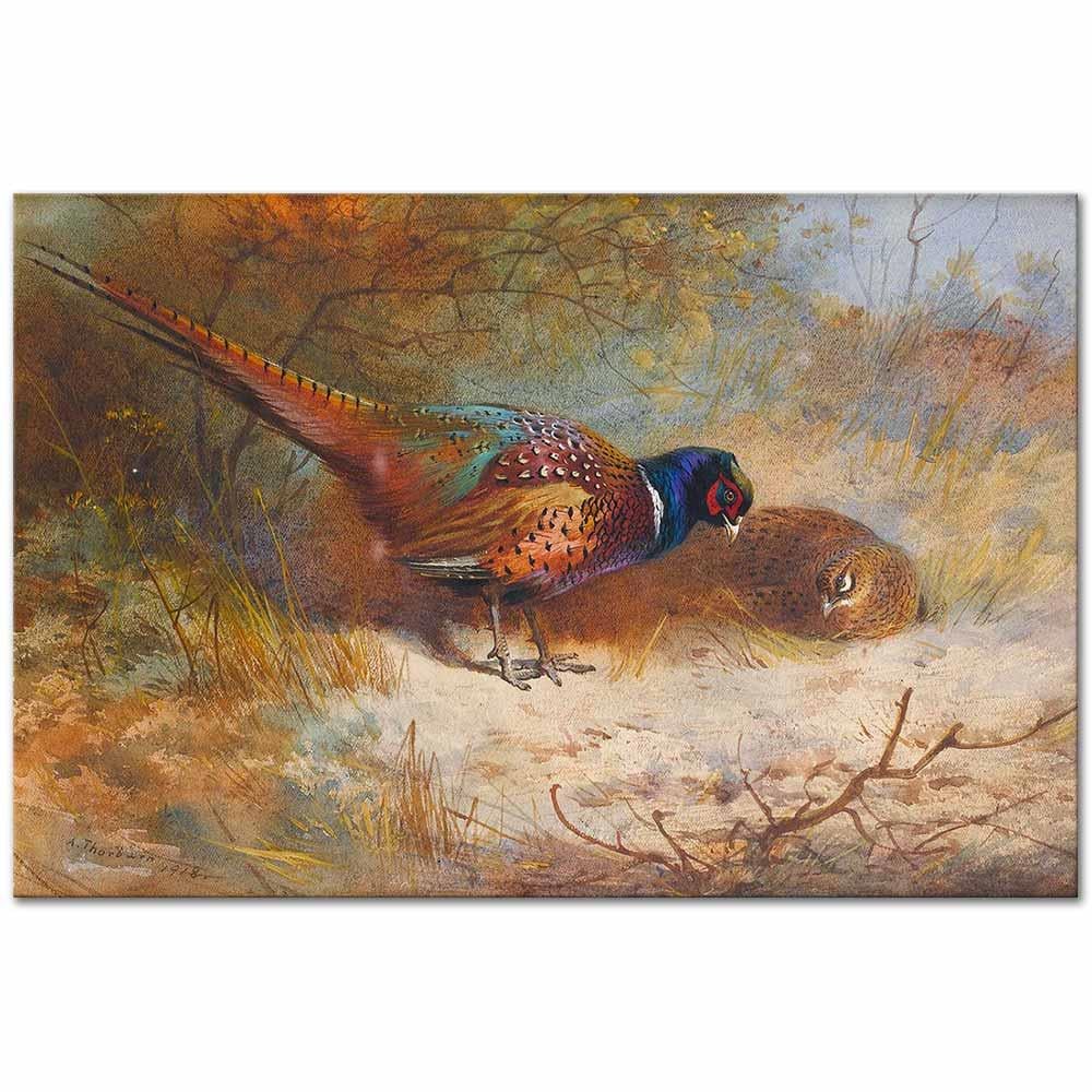 Archibald Thorburn Sülünler Kanvas Tablo