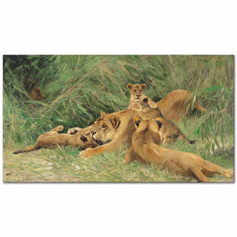 Playing Lions by Wilhelm Kuhnert as Fine Art Print